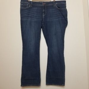 Lucky Brand Petite Plus Jeans